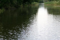 Killikus&reg; Fotographie